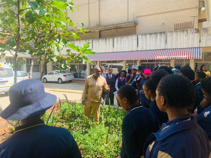 Environmental Awareness at Outreach Foundation