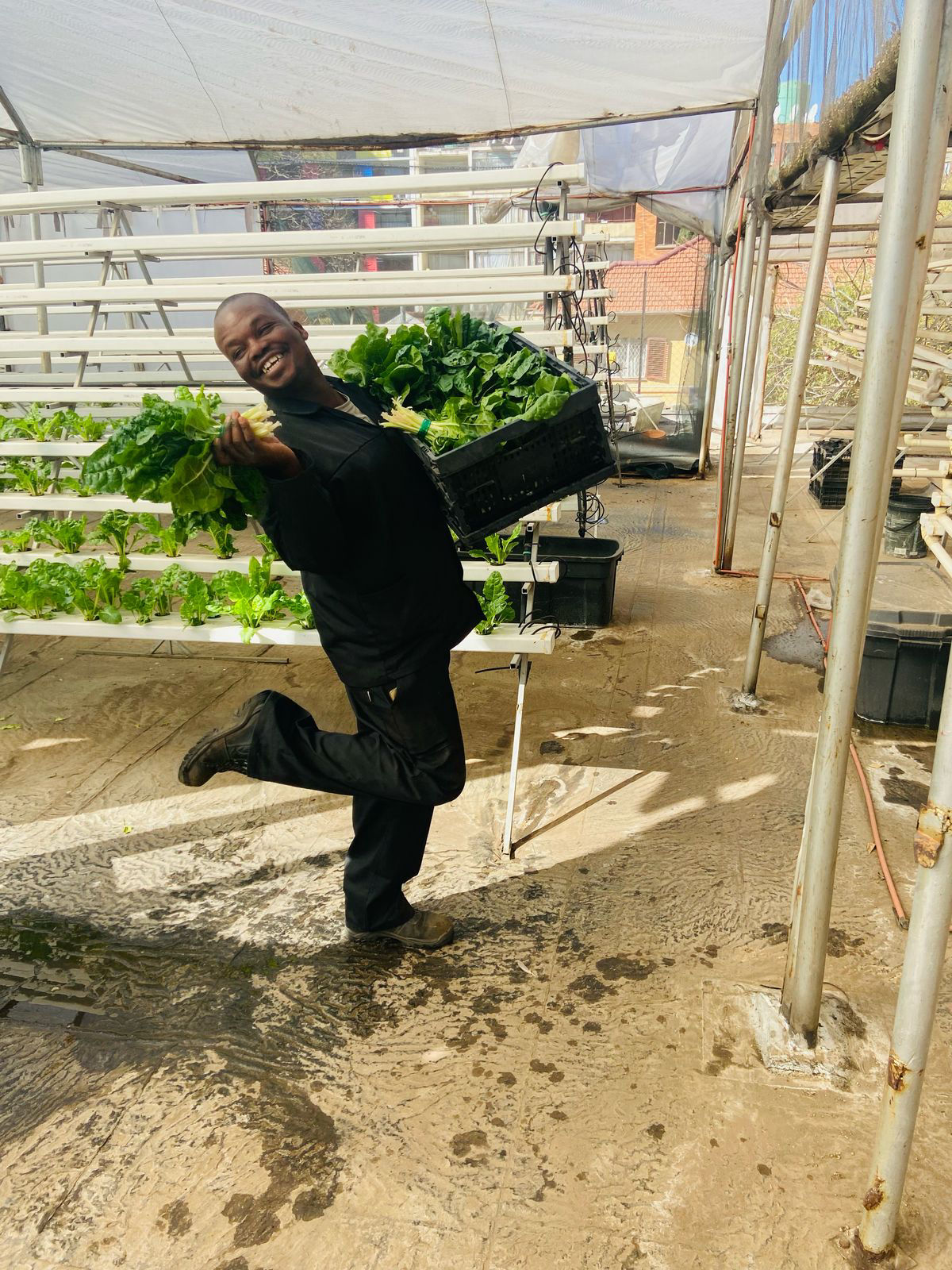 Outreach Foundation provides vegetables and more through it's rooftop garden